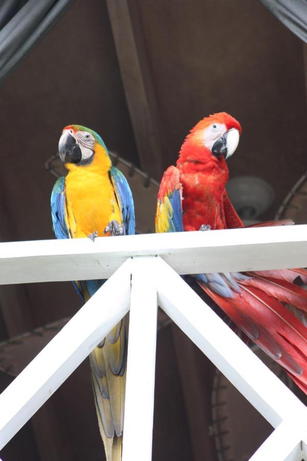 Appartamento Chez Nous Puerto Carrillo Esterno foto